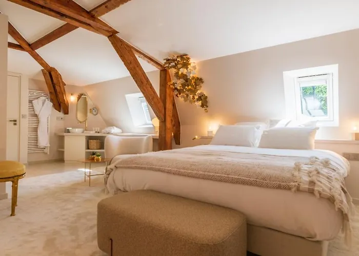 Belle Epoque Hotel Aix-les-Bains